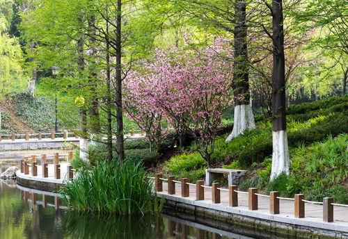 青岛植物园最新爆料,探秘植物王国新篇章